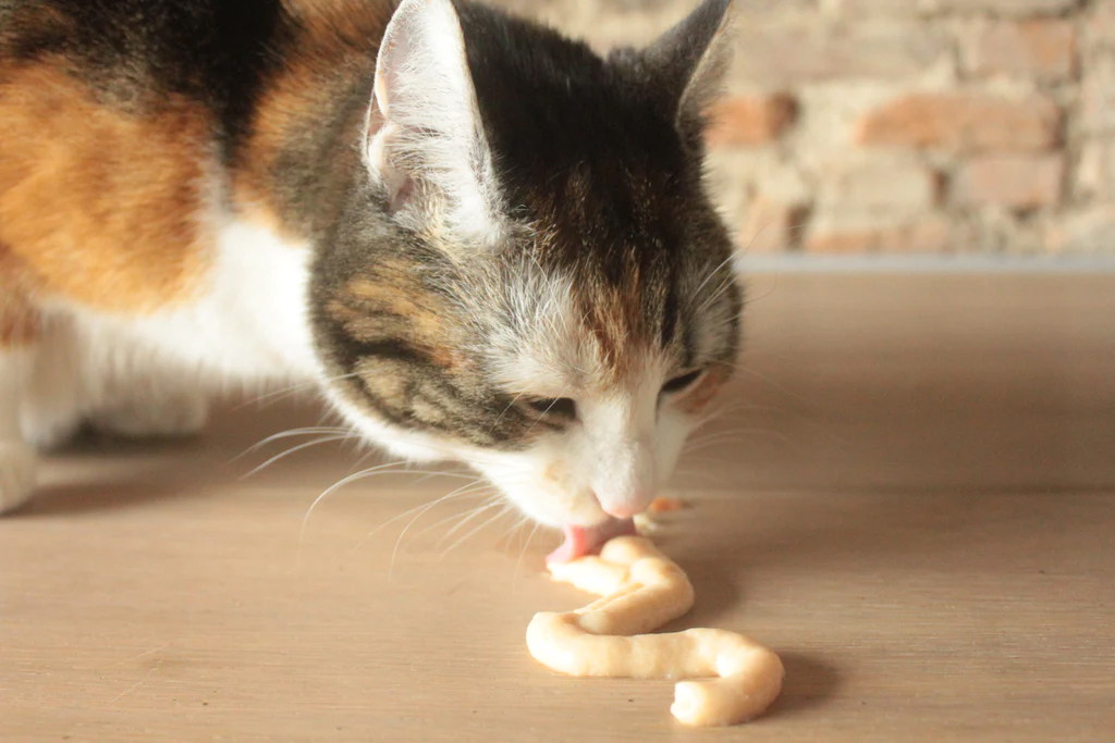 Pets Unlimited kissan lohitahna 80g