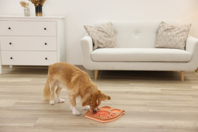 Kerbl lemmikin aktivointilelu pöllö 30x28cm