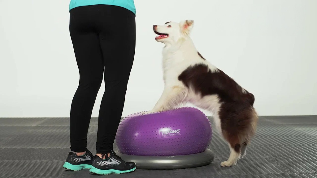 FitPAWS Trax koiran tasapainoalusta donitsi, violetti, ⌀55 cm