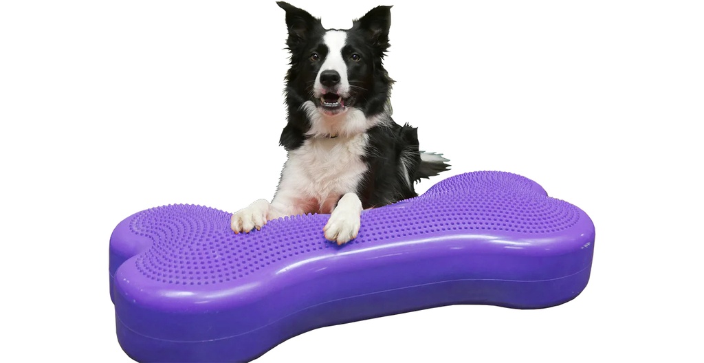 FitPAWS K9FITbone koiran tasapainoalusta, violetti, XL 90x39x14cm