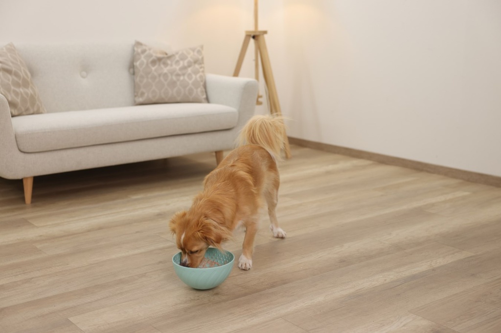 Kerbl lemmikin nuolukulho, Ø 20,5 cm, sininen