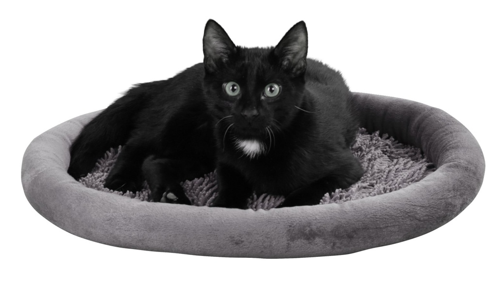 Kerbl kissanpeti Sweety harmaa 48x40cm