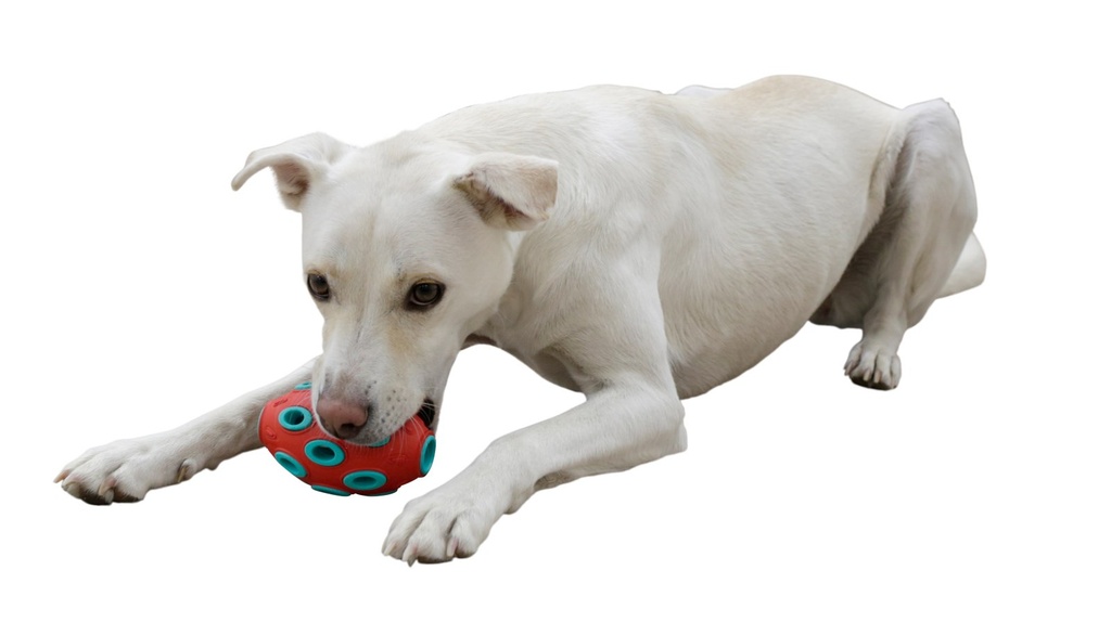 Kerbl koiran aktivointilelu täytettävä rugbypallo 12 cm