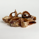 Viksu koiralle naudan henkitorvi 200g