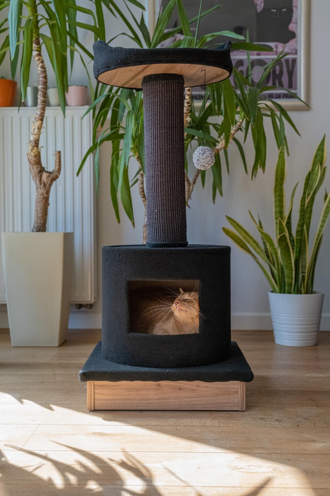 Ecomfy Paul kissan raapimapuu peti+pesä musta 103cm