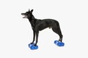 FitPAWS K9FITbone Mini koiran tasapainoalusta, 2kpl sininen, 29,2x16,5x6,3cm