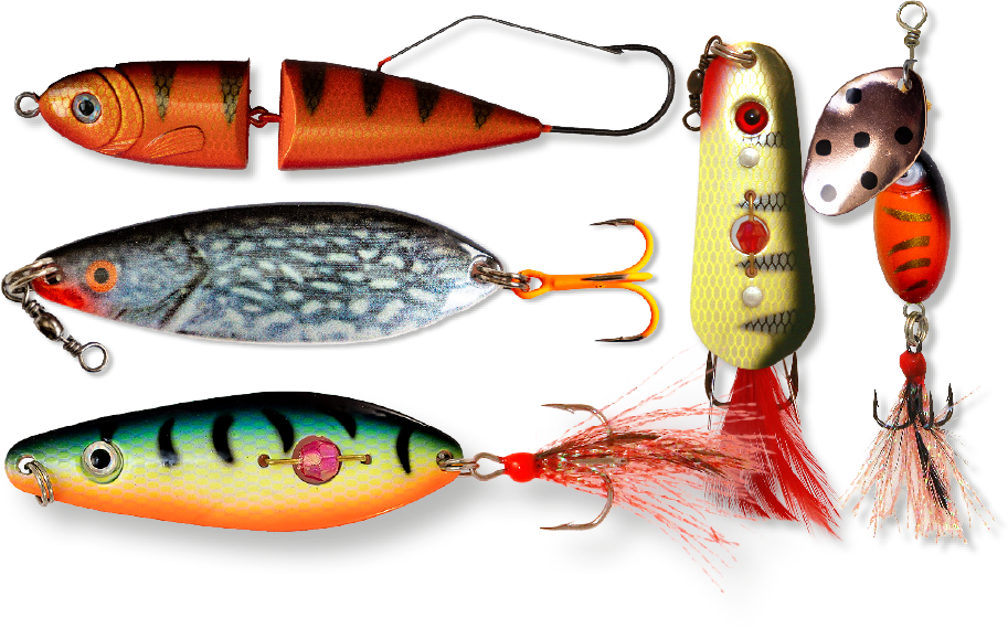 Jakki KINGI Haukisetti sis. 5kpl