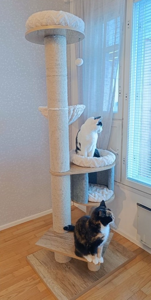 Viksu kissan kiipeilypuu beige, 3 petiä ja pesä 178cm